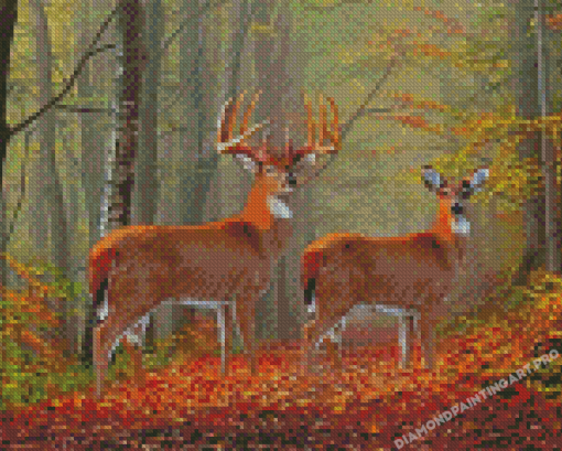 Whitetail Buck And Doe In Forest Diamond Painting