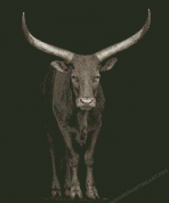 Wild Black And White Bull Diamond Painting