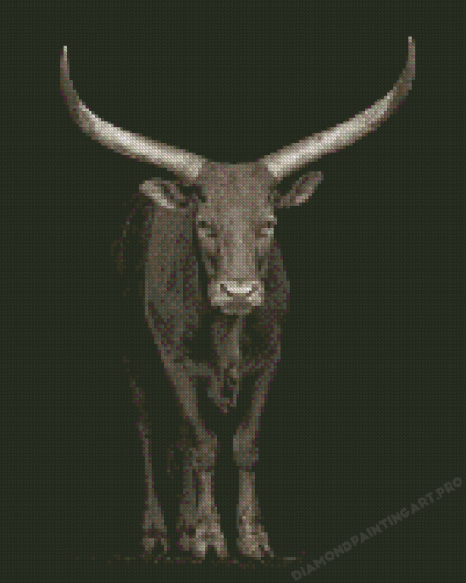 Wild Black And White Bull Diamond Painting