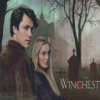 Winchesters Poster Diamond Painting