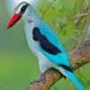 Woodland Kingfisher Diamond Painting