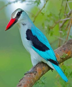 Woodland Kingfisher Diamond Painting