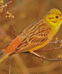 Yellowhammer Diamond Painting