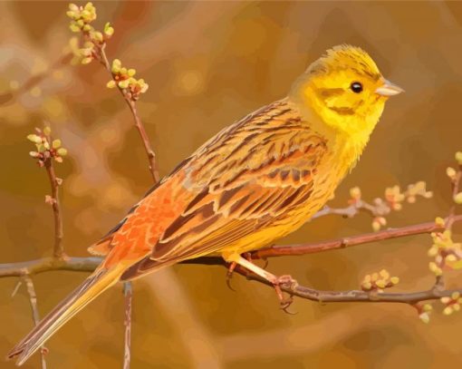 Yellowhammer Diamond Painting