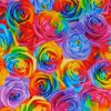 Abstract Rainbow Flowers Diamond Painting