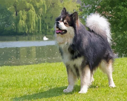 Adorable Finnish Lapphunds Diamond Painting