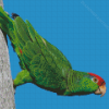 Aesthetic Amazon Parrot Diamond Painting