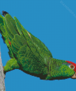 Aesthetic Amazon Parrot Diamond Painting