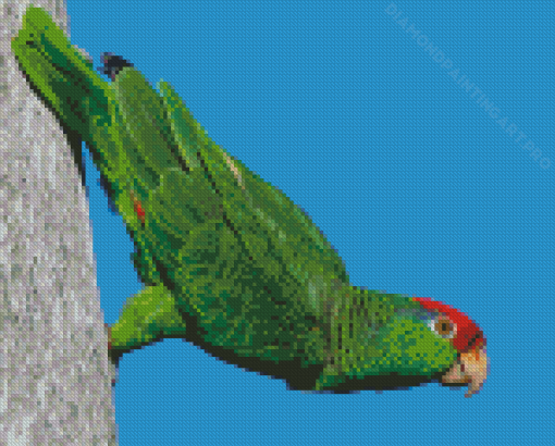 Aesthetic Amazon Parrot Diamond Painting