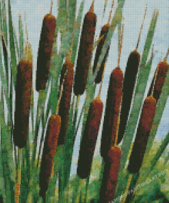 Aesthetic Cattails Diamond Painting