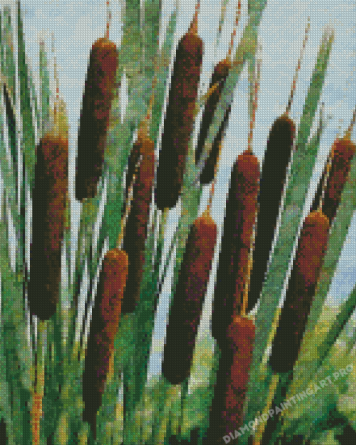 Aesthetic Cattails Diamond Painting