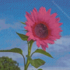 Aesthetic Pink Sunflower Diamond Painting