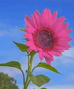 Aesthetic Pink Sunflower Diamond Painting