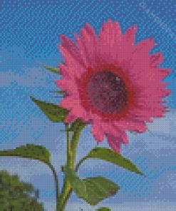 Aesthetic Pink Sunflower Diamond Painting