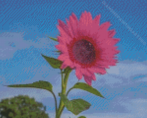 Aesthetic Pink Sunflower Diamond Painting