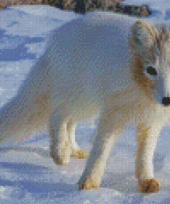 Aesthetic Polar Fox Diamond Painting