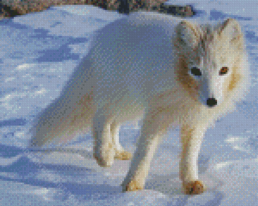 Aesthetic Polar Fox Diamond Painting