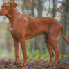 Aesthetic Rhodesian Ridgeback Diamond Painting