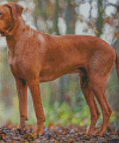 Aesthetic Rhodesian Ridgeback Diamond Painting