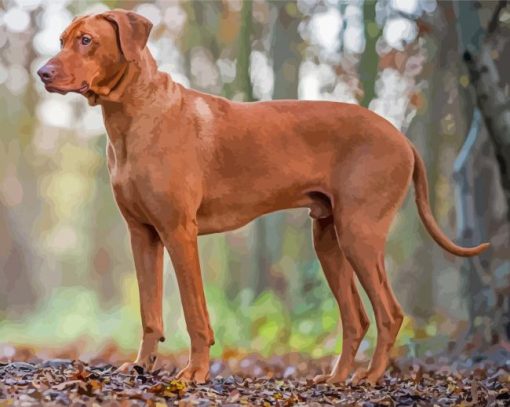 Aesthetic Rhodesian Ridgeback Diamond Painting