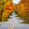 Autumn Windy Road Diamond Painting