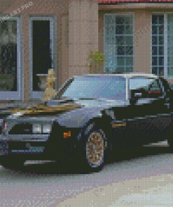 Black 78 Firebird Diamond Painting