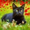 Black Cat With Red Poppy Flowers Diamond Painting