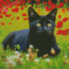 Black Cat With Red Poppy Flowers Diamond Painting