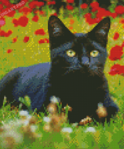 Black Cat With Red Poppy Flowers Diamond Painting