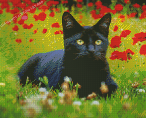 Black Cat With Red Poppy Flowers Diamond Painting