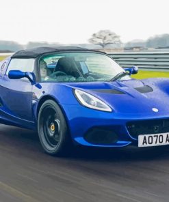 Blue Lotus Elise Diamond Painting