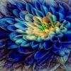 Blue Dahlia Diamond Painting