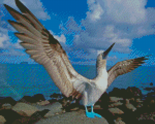 Blue Footed Boobie Diamond Painting