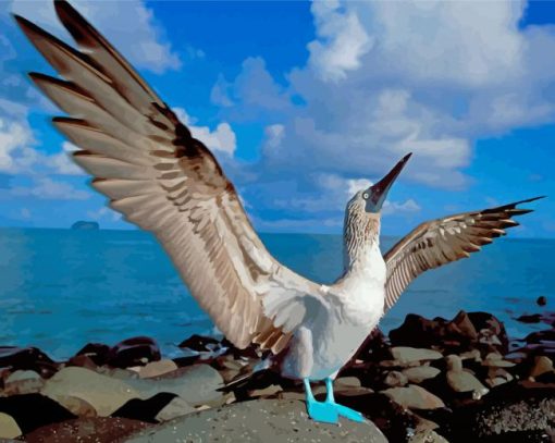 Blue Footed Boobie Diamond Painting