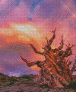 Bristlecone Pine Sunset Diamond Painting