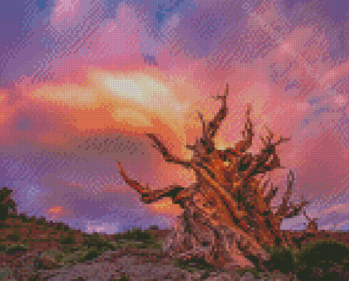 Bristlecone Pine Sunset Diamond Painting