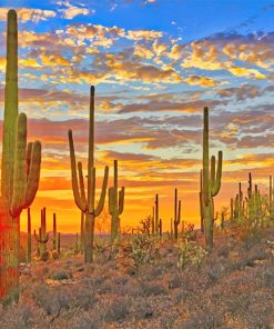 Cactus Arizona Desert Adult Diamond Painting