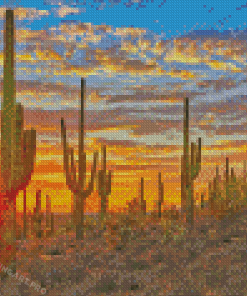 Cactus Arizona Desert Adult Diamond Painting