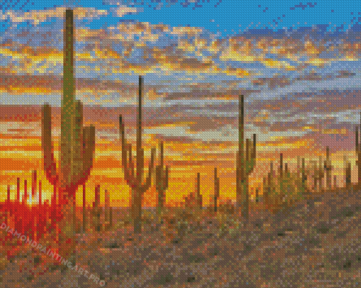 Cactus Arizona Desert Adult Diamond Painting