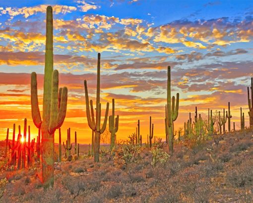 Cactus Arizona Desert Adult Diamond Painting