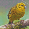 Canary Bird Diamond Painting