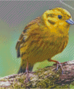 Canary Bird Diamond Painting