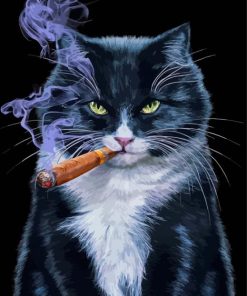 Cat Animal Smoking Diamond Painting