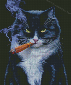 Cat Animal Smoking Diamond Painting