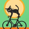 Cat On Bicycle Diamond Painting