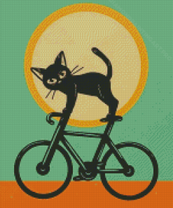 Cat On Bicycle Diamond Painting