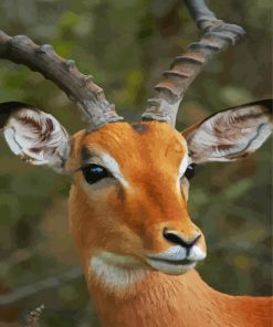 Close Up Wild Impala Diamond Painting