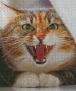 Cool Angry Cat Diamond Painting