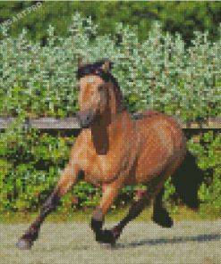 Cool Paso Fino Diamond Painting