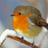 Cool Winter Robin Diamond Painting